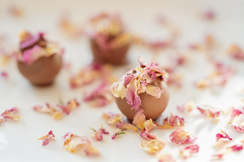 Indulgent Chocolate Delights