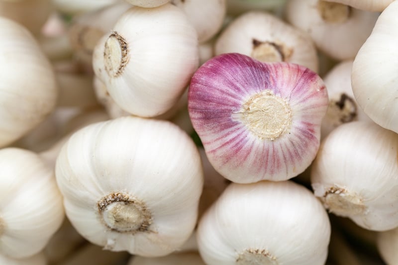 Garlic Powder
